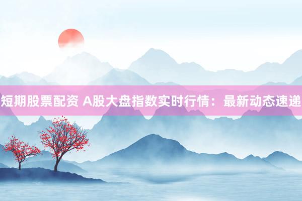 短期股票配资 A股大盘指数实时行情：最新动态速递