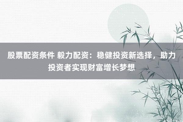 股票配资条件 毅力配资：稳健投资新选择，助力投资者实现财富增长梦想