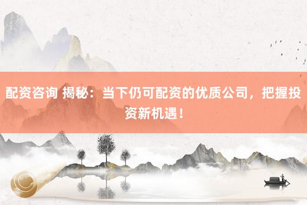 配资咨询 揭秘：当下仍可配资的优质公司，把握投资新机遇！