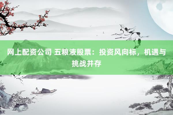 网上配资公司 五粮液股票：投资风向标，机遇与挑战并存