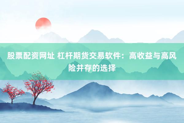 股票配资网址 杠杆期货交易软件：高收益与高风险并存的选择