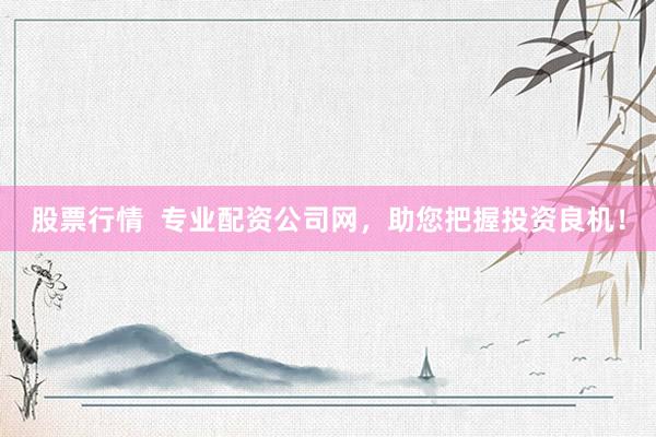 股票行情  专业配资公司网，助您把握投资良机！