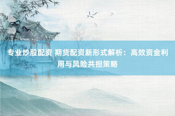专业炒股配资 期货配资新形式解析：高效资金利用与风险共担策略