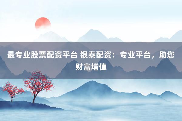 最专业股票配资平台 银泰配资：专业平台，助您财富增值