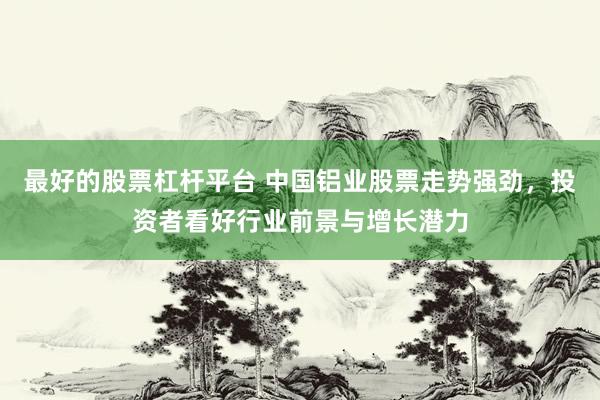 最好的股票杠杆平台 中国铝业股票走势强劲，投资者看好行业前景与增长潜力