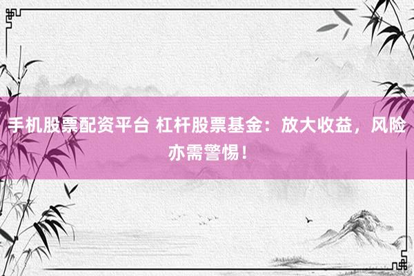 手机股票配资平台 杠杆股票基金：放大收益，风险亦需警惕！