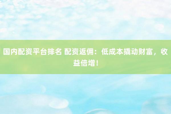 国内配资平台排名 配资返佣：低成本撬动财富，收益倍增！