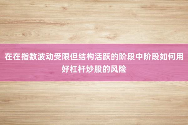 在在指数波动受限但结构活跃的阶段中阶段如何用好杠杆炒股的风险