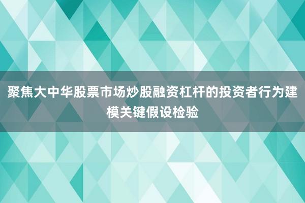 聚焦大中华股票市场炒股融资杠杆的投资者行为建模关键假设检验