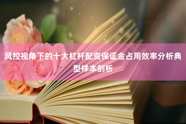 风控视角下的十大杠杆配资保证金占用效率分析典型样本剖析